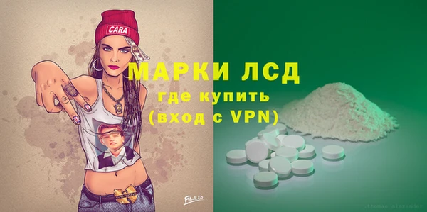 ГАЛЛЮЦИНОГЕННЫЕ ГРИБЫ Козловка