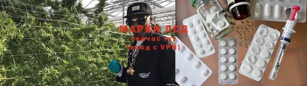 винт Аркадак