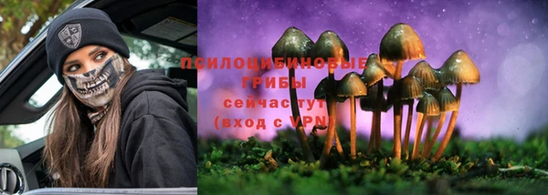 винт Аркадак